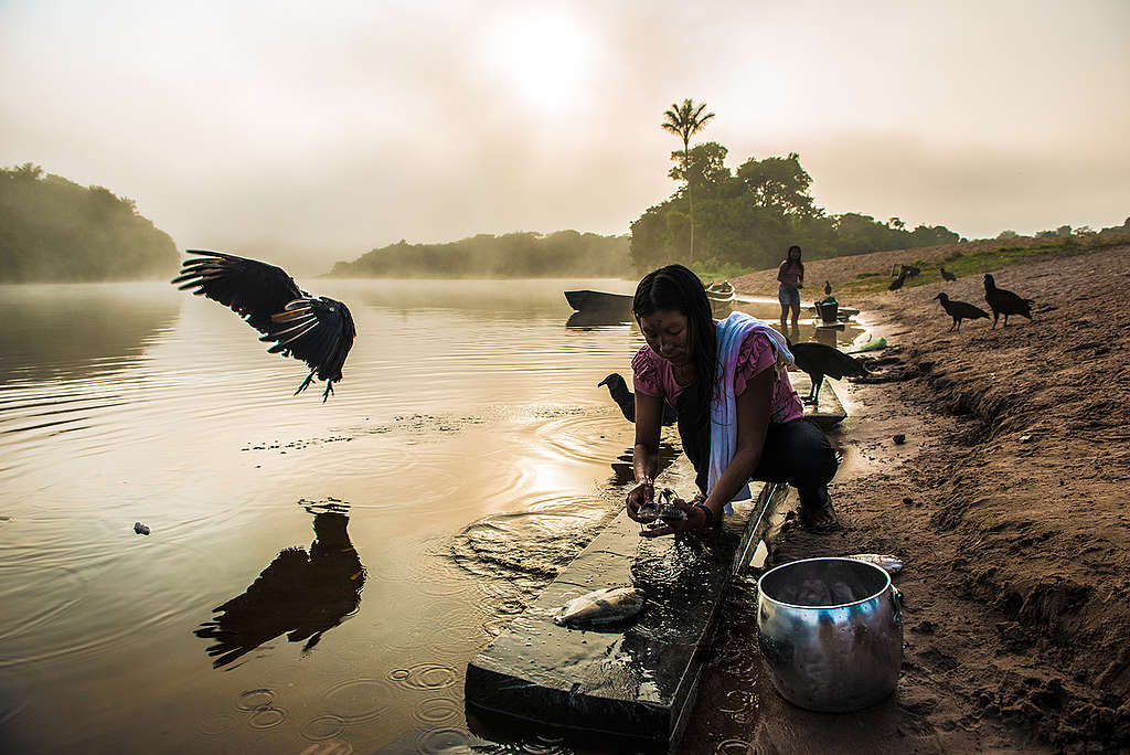 Munduruku on Cururu River in Brazil. © Fábio Nascimento / Greenpeace Munduruku on Cururu River in Brazil. © Fábio Nascimento / Greenpeace