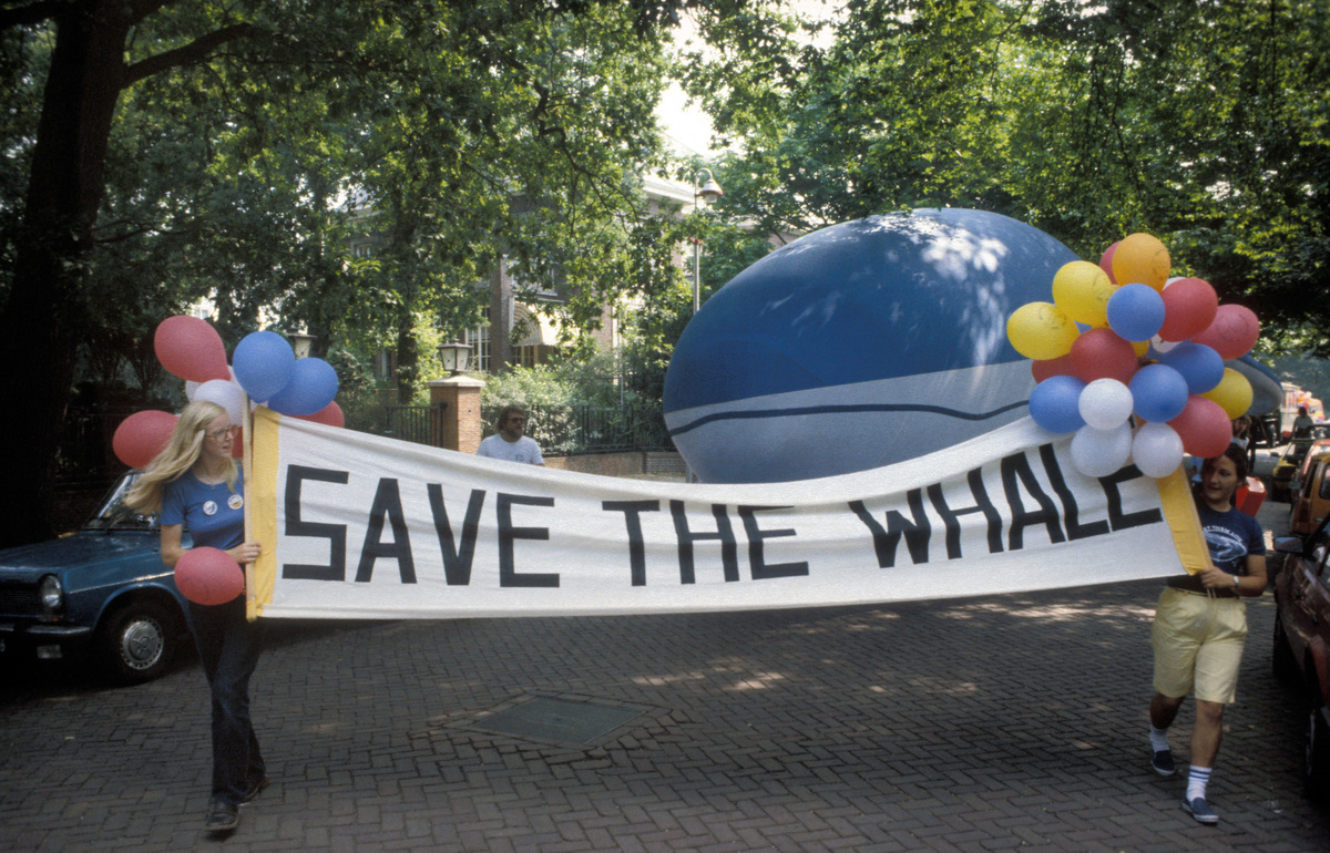 Whaling Protest during IWC Meeting in the Hague. © Greenpeace