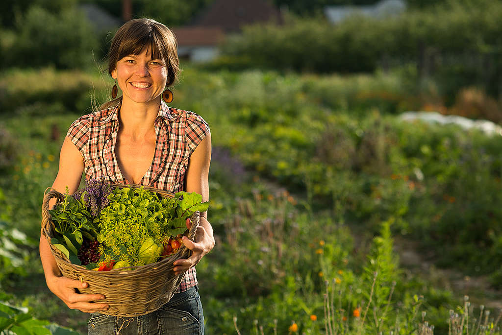 Ecological Farm in Slovakia. © Tomas Halasz / Greenpeace