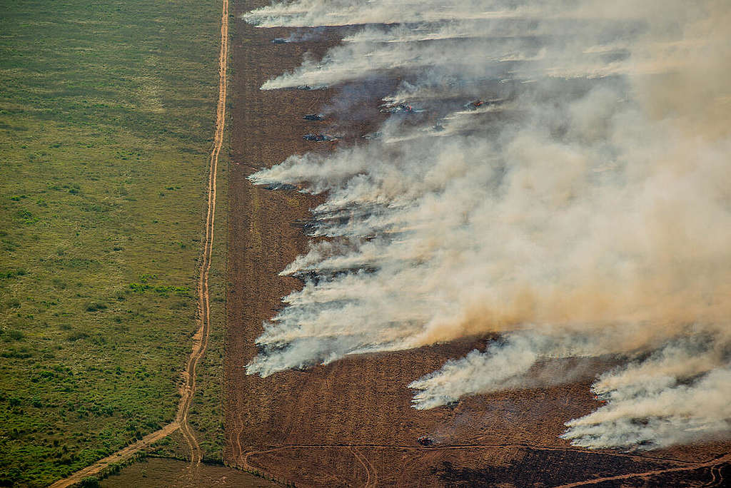 Deforestation and Fire Monitoring in the Amazon in July, 2020. © Christian Braga / Greenpeace