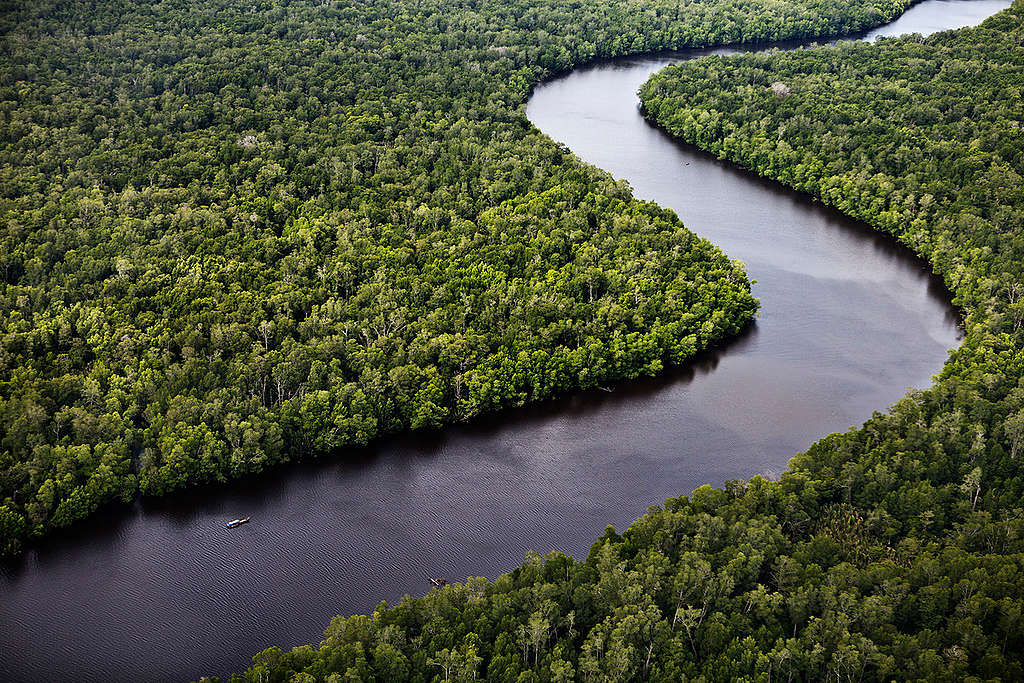 Sungai Sembilang Park in Sumatra. © Kemal Jufri / Greenpeace Sungai Sembilang Park in Sumatra. © Kemal Jufri / Greenpeace