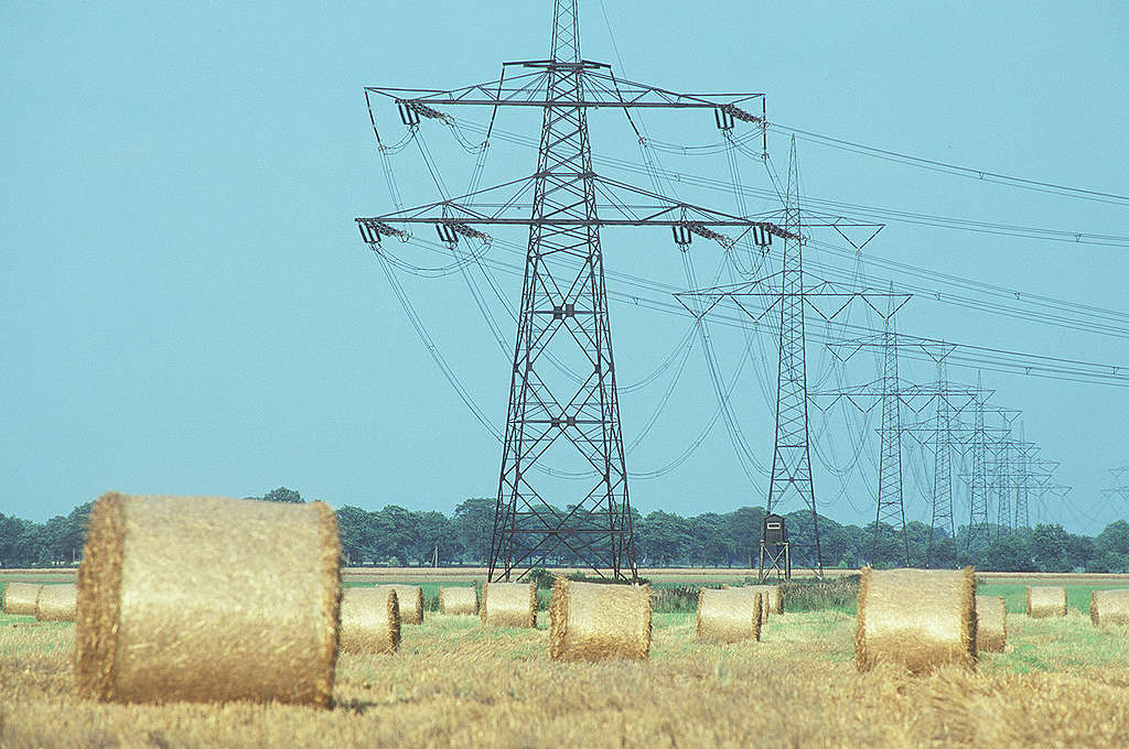 Field with Electricity Pylons in Germany. © Paul Langrock / Greenpeace