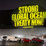 Protect the Oceans Projection onto the Guggenheim Museum in New York. © Greenpeace