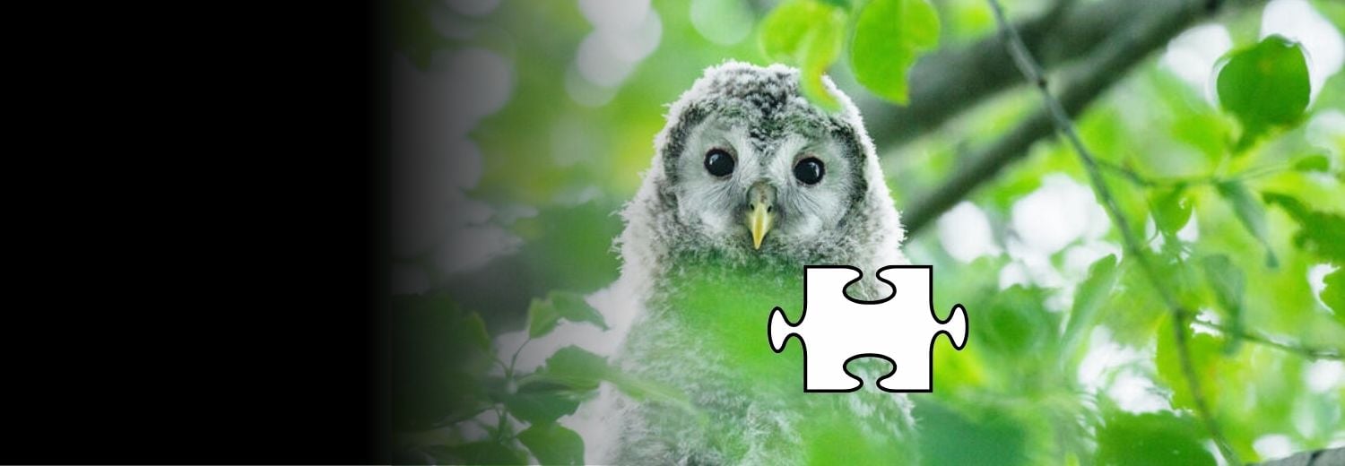 Kako podariti 1 % dohodnine Greenpeace Slovenija?