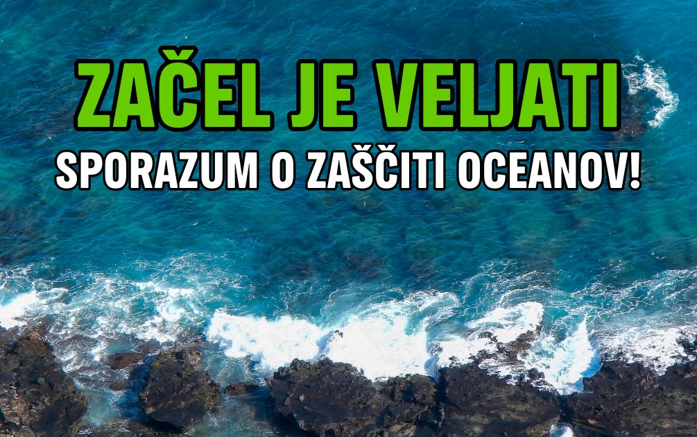 Svetovni sporazum o zaščiti oceanov vstopil v veljavo