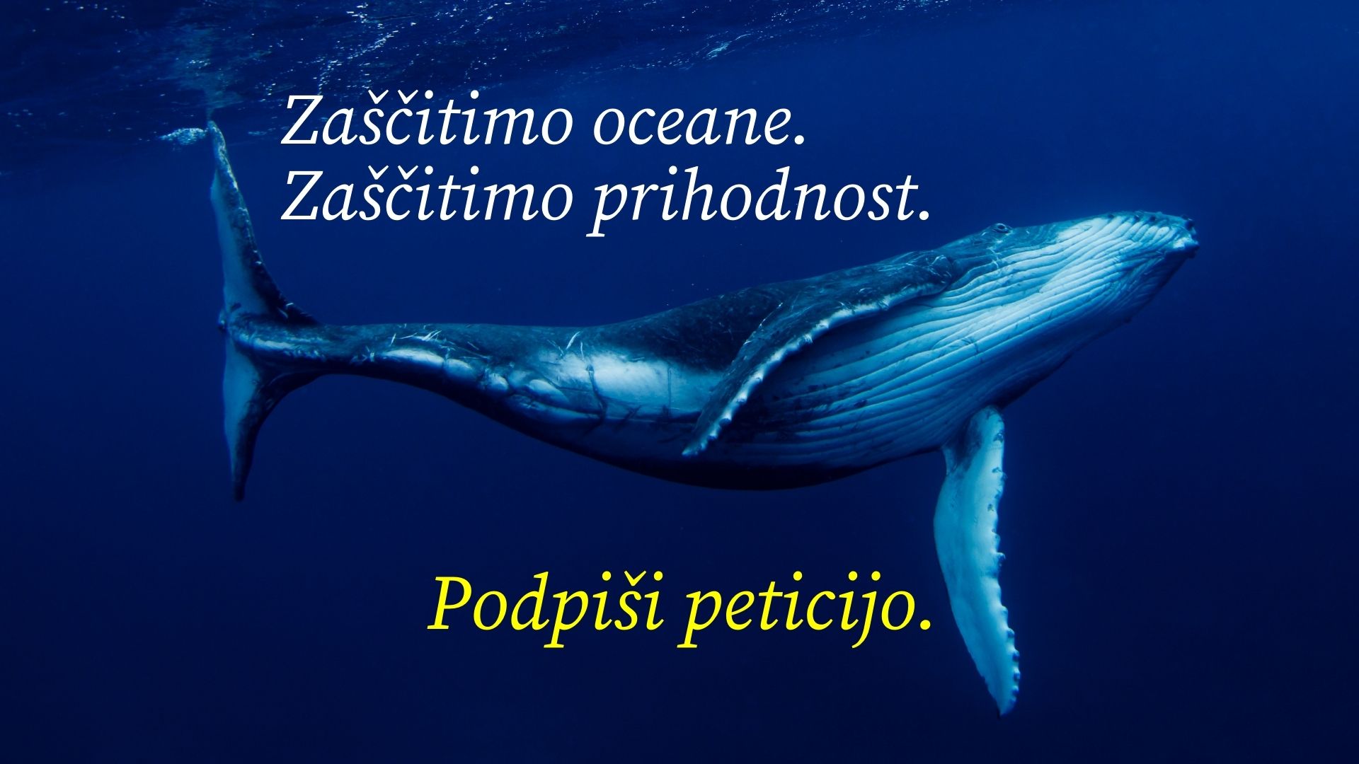 Ustvarimo zaščitena morska območja!