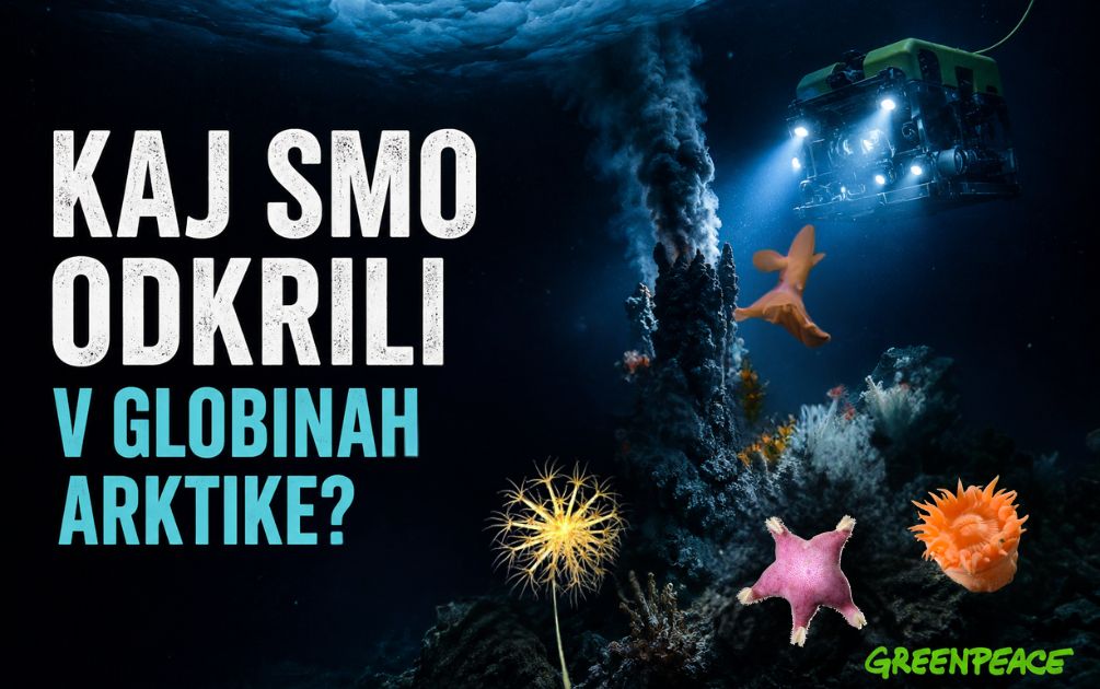 Kaj smo odkrili v globinah Arktičnega morja!