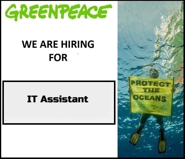 IT Assistant 