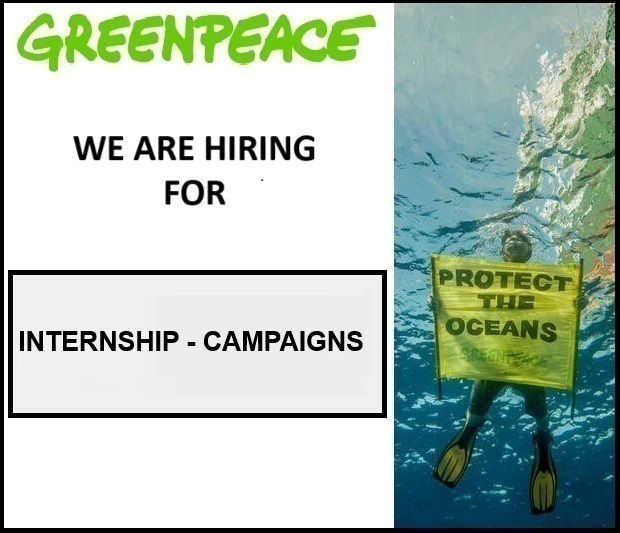 INTERNSHIP – CAMPAIGNS 