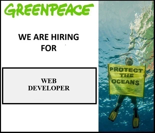 WEB DEVELOPER