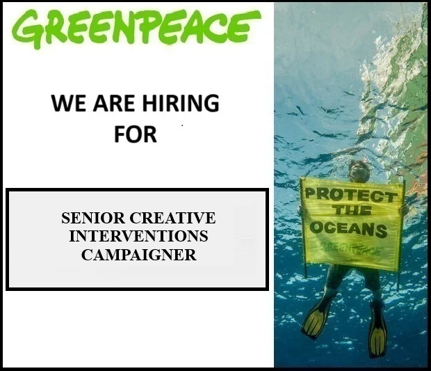SENIOR CREATIVE INTERVENTIONS CAMPAIGNER