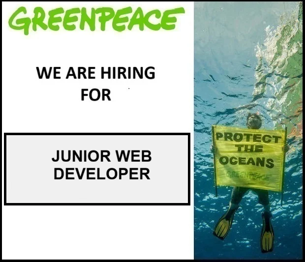 JUNIOR WEB DEVELOPER