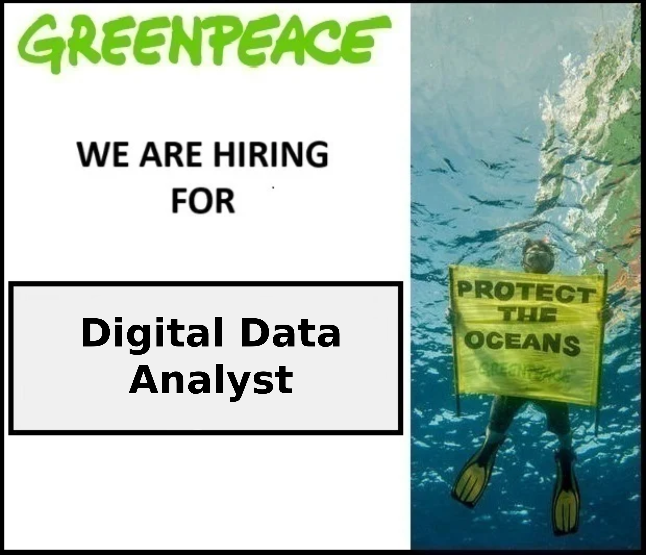 Digital Data Analyst
