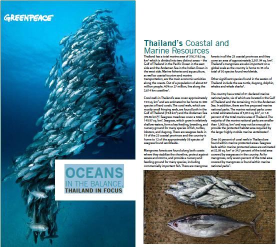 Oceans in the Balance: Thailand in Focus - Greenpeace Southeast Asia