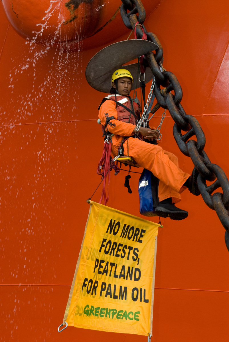 Palm Oil action against Ship Gran Couva in Riau. © Greenpeace / Dmitry Sharomov