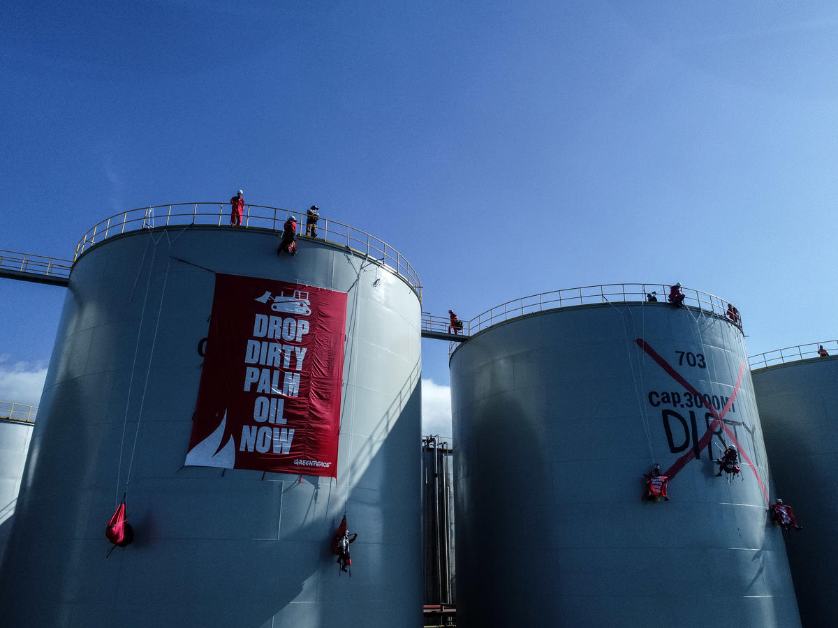 Direct Action at Wilmar Refinery in North Sulawesi. © Nugroho Adi Putera / Greenpeace