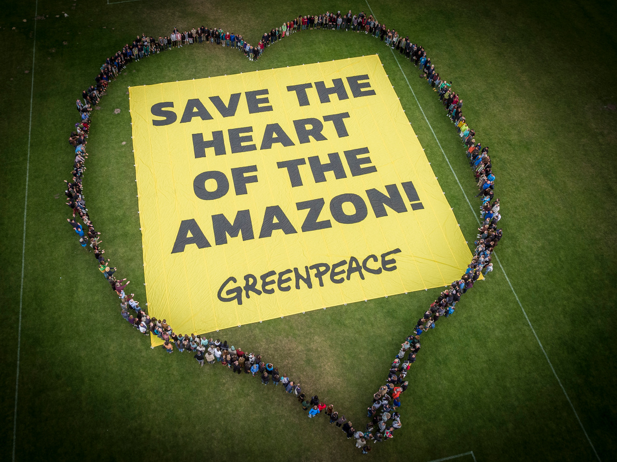 Save the Heart of the Amazon! Banner. © Greenpeace