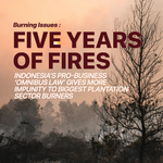 Burning Issues: Five Years of Fire