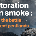 Restoration Up in Smoke: Losing the Battle to Protect Peatlands