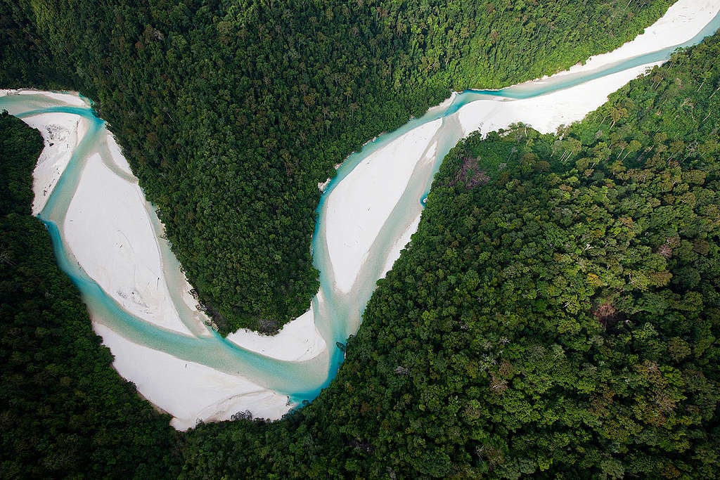 Bairaman River in Papua New Guinea. © Paul Hilton / Greenpeace Bairaman River in Papua New Guinea. © Paul Hilton / Greenpeace