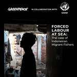 Forced Labour at Sea: The Case of Indonesian Migrant Fisher