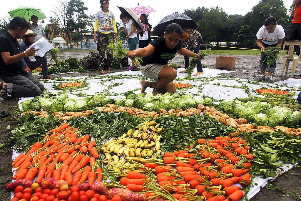 Largest Food Art In Quezon City. © Jimmy Domingo / Greenpeace Largest Food Art In Quezon City. © Jimmy Domingo / Greenpeace