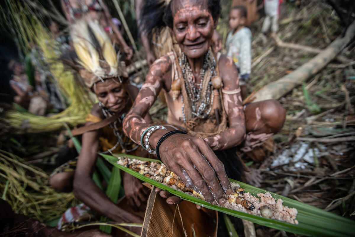 Awyu Tribe in Boven Digoel, South Papua. © Jurnasyanto Sukarno / Greenpeace
