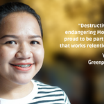 My career journey with Greenpeace