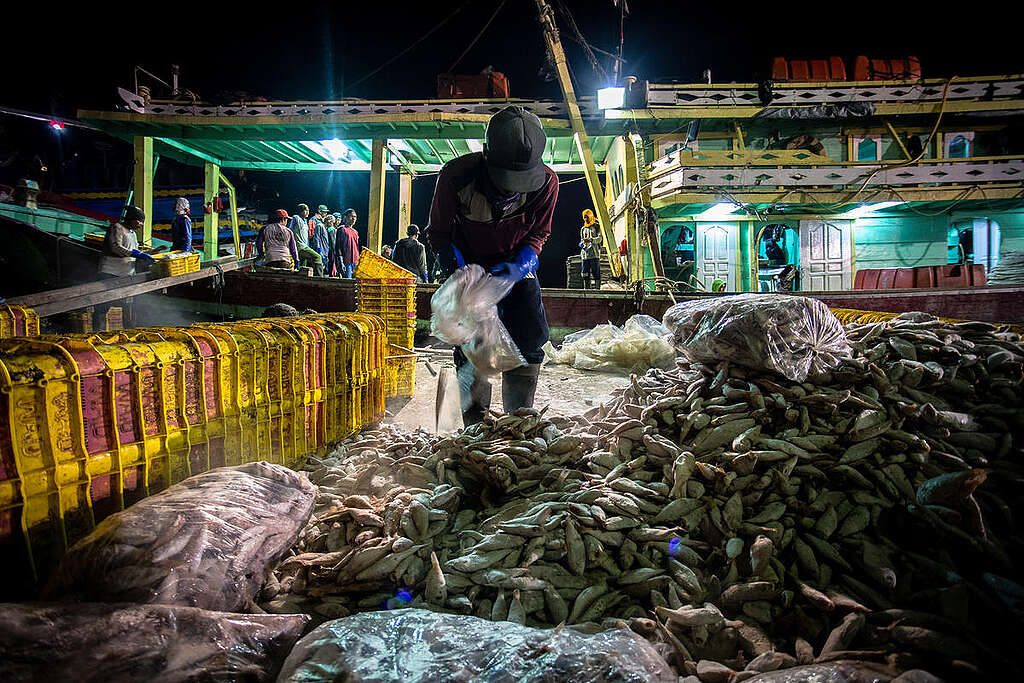 Migrant Fishermen in Indonesia. © Jurnasyanto Sukarno / Greenpeace