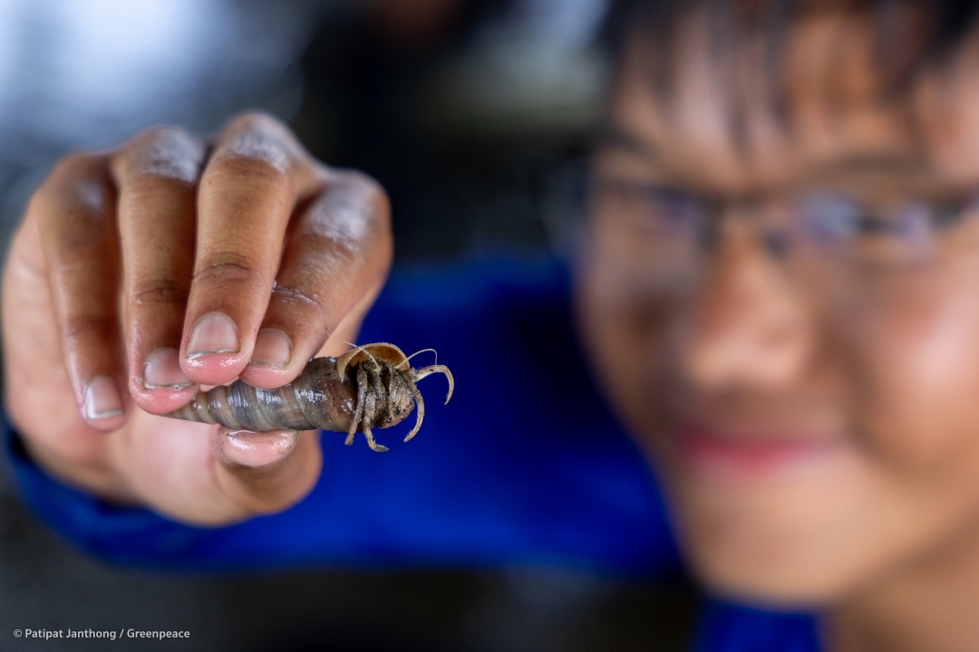 Thailand’s Coastal communities and Indigenous Peoples are fighting for their right to development.
