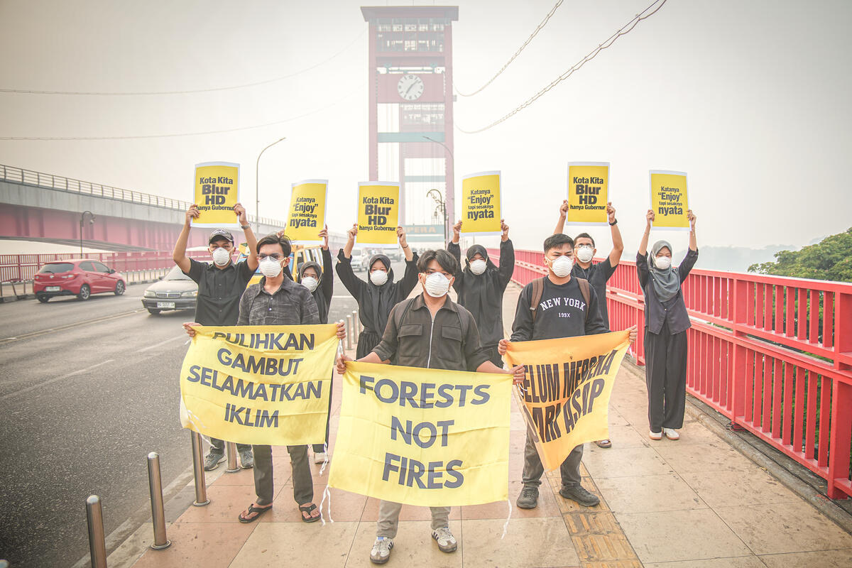 Banks and courts must act alongside lawmakers to stem transboundary haze