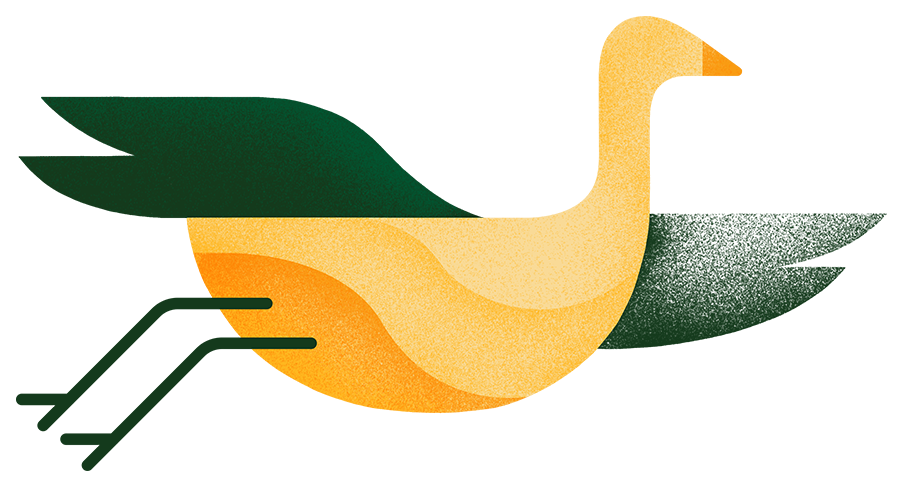 Illustration of a bird, orange with dark green wings Illustration of a bird, orange with dark green wings