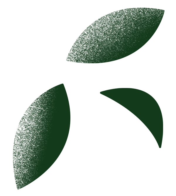 Three dark green leaves