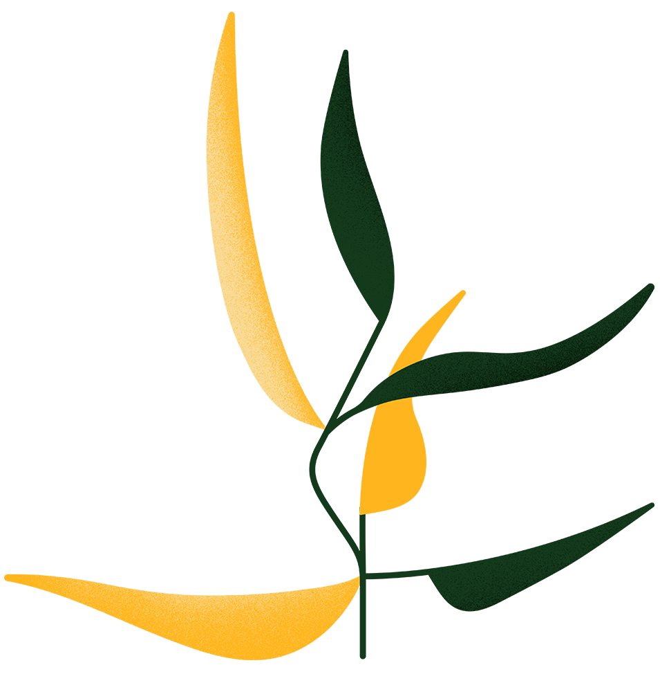 Illustration of seaweed, leaves in mustard yellow and dark green Illustration of seaweed, leaves in mustard yellow and dark green