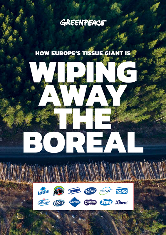 Global strålkastare på svenskt storbolag: Greenpeace International visar hur Essity exporterar skogsskövling