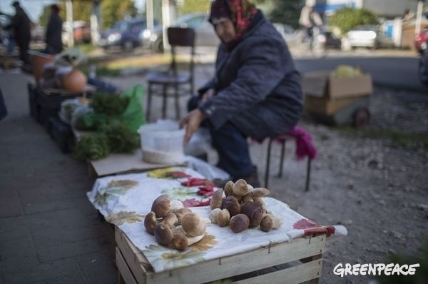 Invånare med försäljning på en lokal rysk marknad. © Denis Sinyakov / Greenpeace