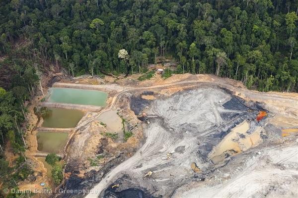Coal Mine in Central Kalimantan, Indonesia