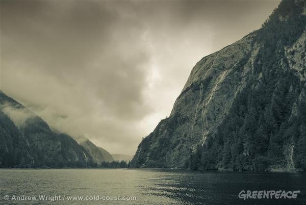 Estuary in Great Bear Rainforest