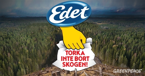 Edet - torka inte bort våra sista riktiga skogar!