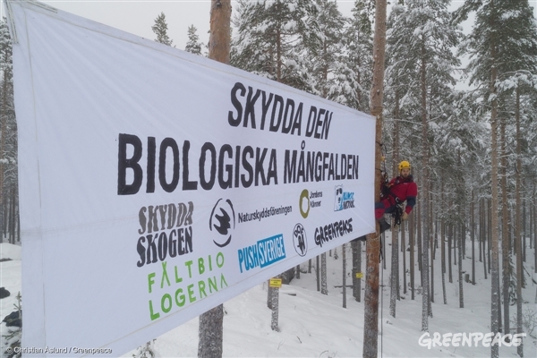 Daniel hänger upp banderollen