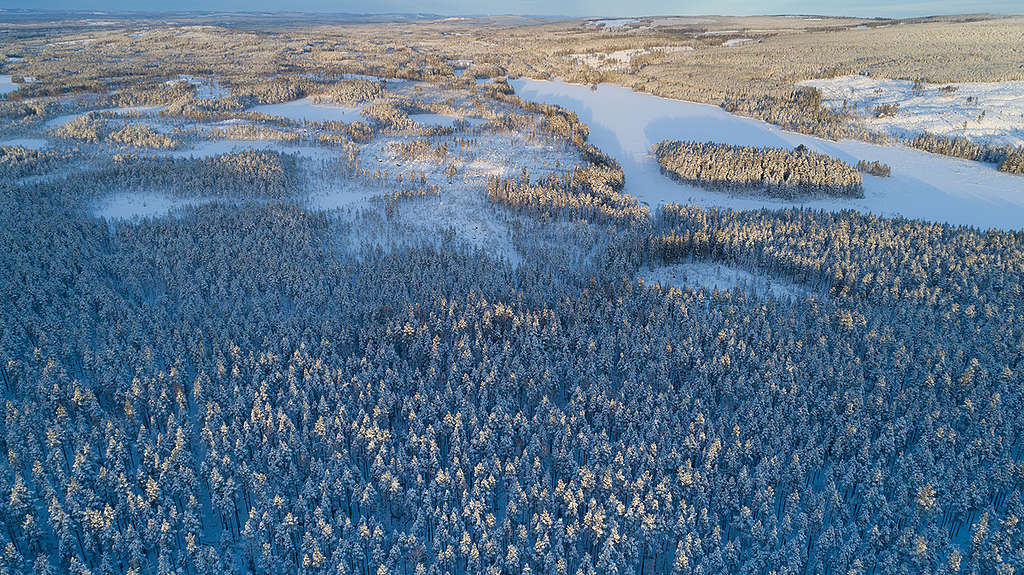 Ore Skogsrike. © Christian Åslund