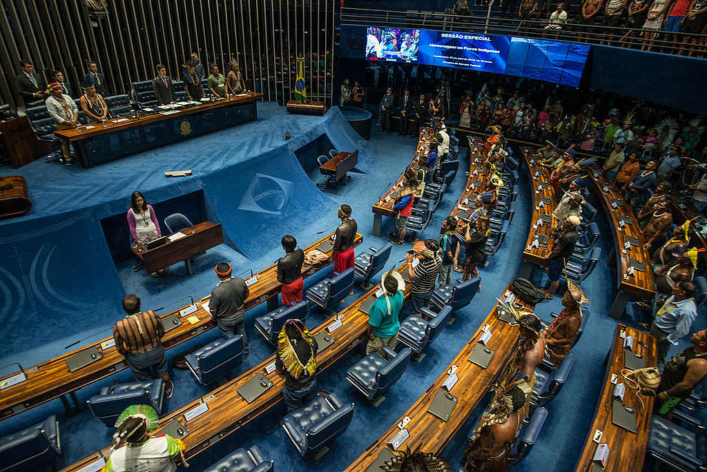 Free Land Camp 2019 in Brazil. © Christian Braga / MNI