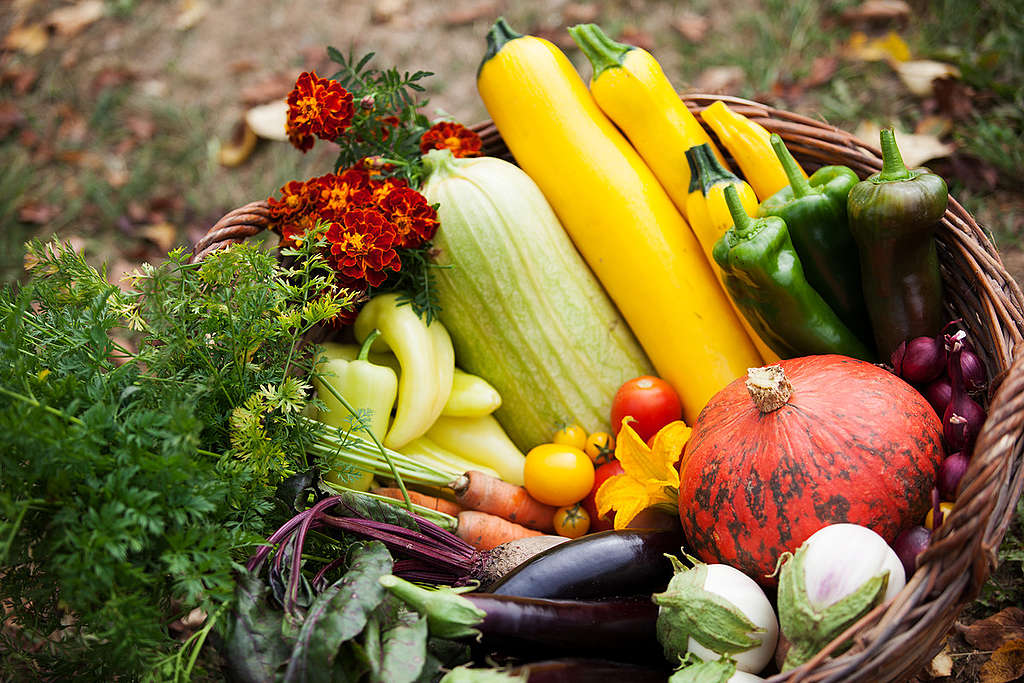 Organic Vegetables in Hungary. © Bence Jardany / Greenpeace