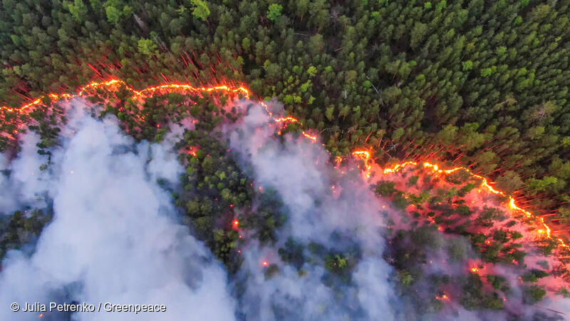 Stor skogsbrand i Sibirien från sommaren 2021.