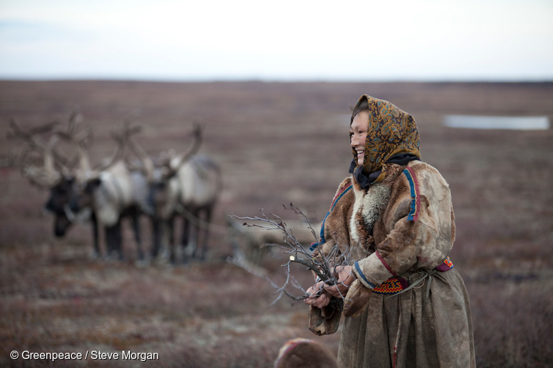 En renskötare från ursprungsbefolkningen Nenet i Arktis.