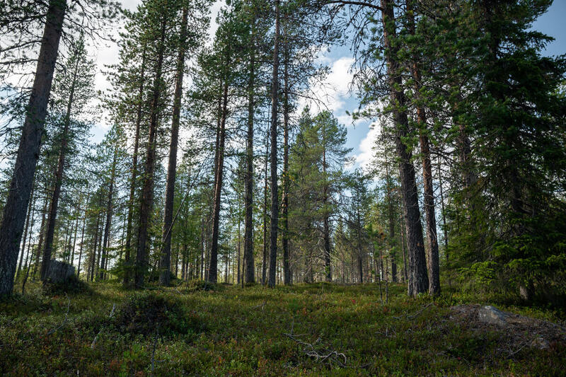 Regeringens beslut om Gállok – väljer exploatörer framför människor och natur