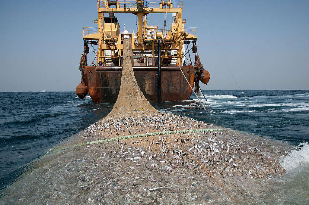 The Afrika Super Trawler. © Pierre Gleizes / Greenpeace