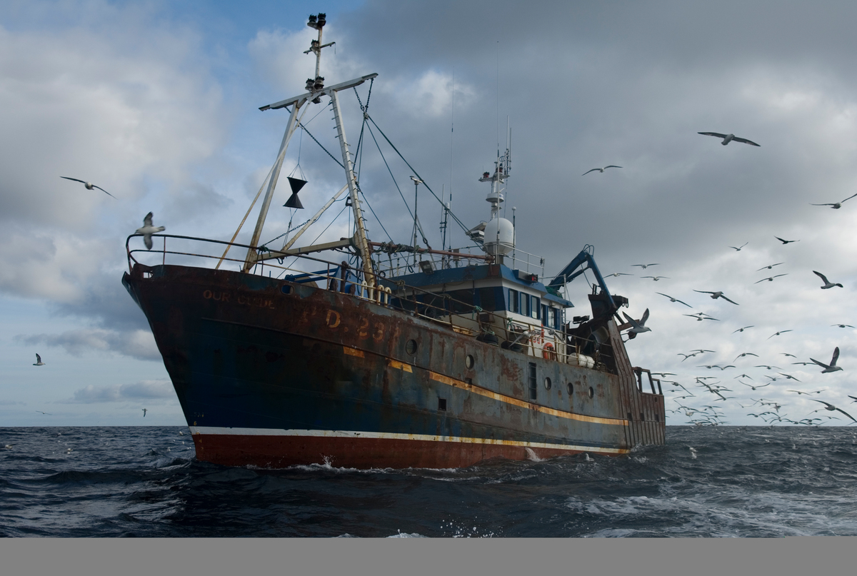 Seagulls Feed on By-catch From Trawler. © Greenpeace / Christian Aslund