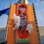Greenpeace protesterar utanför EU:s högkvarter mot den globala skogsskövlingen med en jättebanner som visar texten Amazon fires Europe guilty.