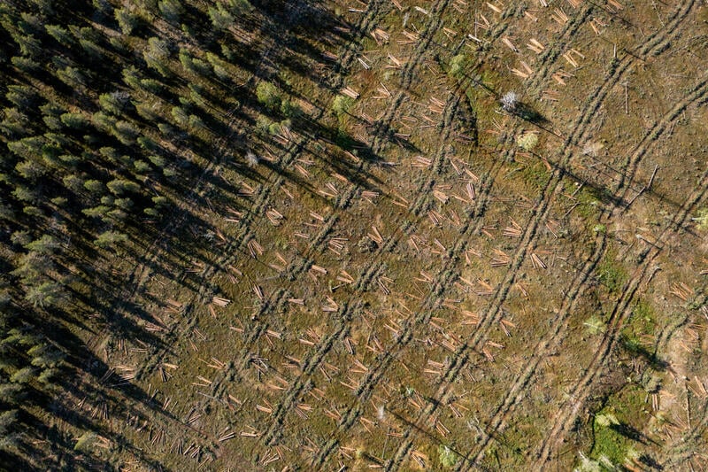 Picture taken from above showing a big clearcut in a Swedish forest.